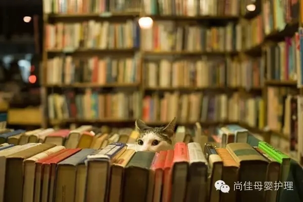 家政服務(wù)員中五大錯誤要點(diǎn)，您中招了嗎？